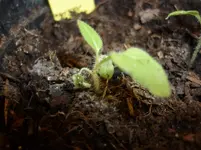 P1110284.webp