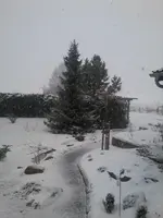 MitteMärz1.webp