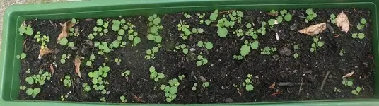 P1040957.webp P1040957.webp