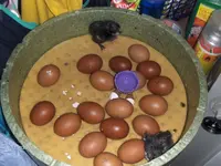 HPIM8898.webp