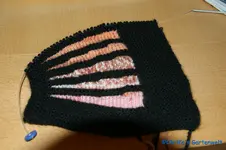 comp_DSC09212.webp