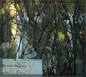 comp_DSC02206.webp