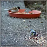 comp_DSC02208.webp