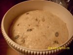 no knead bread 004.jpg