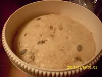 no knead bread 004.webp