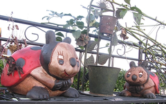 marienkäfer.webp