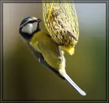 comp_DSC02241.webp