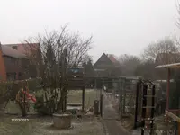 HPIM8912.webp