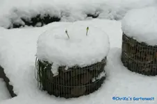 comp_DSC09213.webp