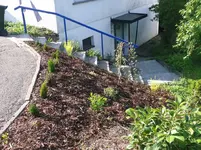 rindenmulch.webp