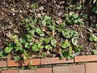 SAM_0497.webp