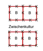 achterbeet.webp
