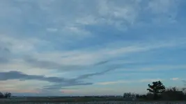 P1080751.webp