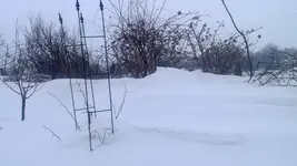 WP_20130319_002.webp