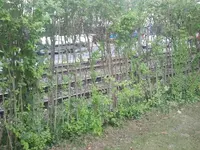 2012-09-03 16.10.39.webp