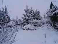 Vorgarten.19.3.2013.webp