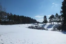 2013_0315Winter0012.webp