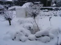 Vorgarten..19.3.2013.webp