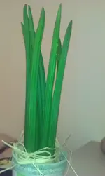 IMAG0027.webp