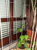 SAM_0500.webp
