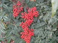 017.webp