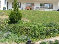 Wiese1.webp