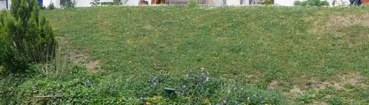 Wiesenhang.webp