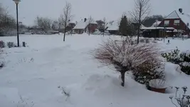 K800_Schnee am 20.März 2013 002.webp