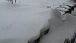 K800_Schnee am 20.März 2013 009.JPG