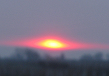 spiegelei 20.03.webp