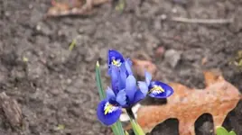 _DSC1195.webp