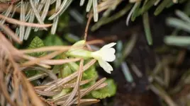 _DSC1208.webp