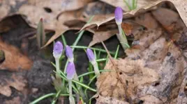 _DSC1214.webp