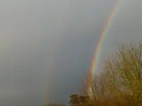 P1050030.webp