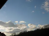 P1050037.webp