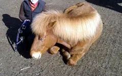 20130320_145305.4..webp