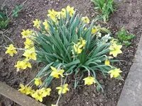 2012_0406April0001.webp