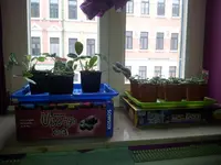 20130321_094456.webp