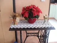 Weihnachtsstern.21.03.2013.webp