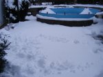 Am Pool.21.3.2013.jpg