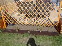 DSC01092.webp