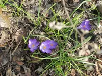 001.webp