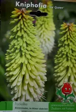 DSCN1616.webp