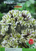 DSCN1614.webp