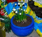 DSC_2712.2.webp
