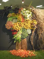 DSCN1579.webp