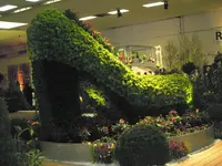 DSCN1581.webp