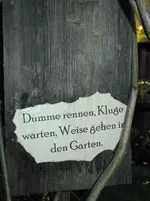 DSCN1586.webp