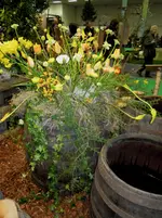 DSCN1591.webp