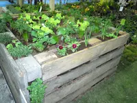 DSCN1606.webp